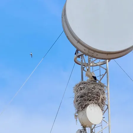 Casa Da Avo Holiday home